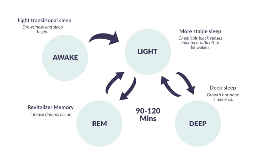 sleep phases image