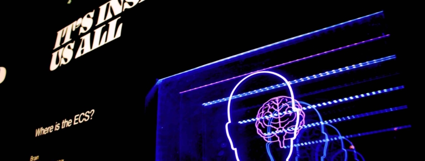 Bret Kavanaugh Af0 Qah4k4 Unsplash