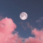 Ingmar Hoogerhoud Cc1c Houd6y Unsplash