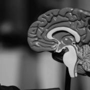 Edited Robina Weermeijer 3kgf9r 0ohs Unsplash